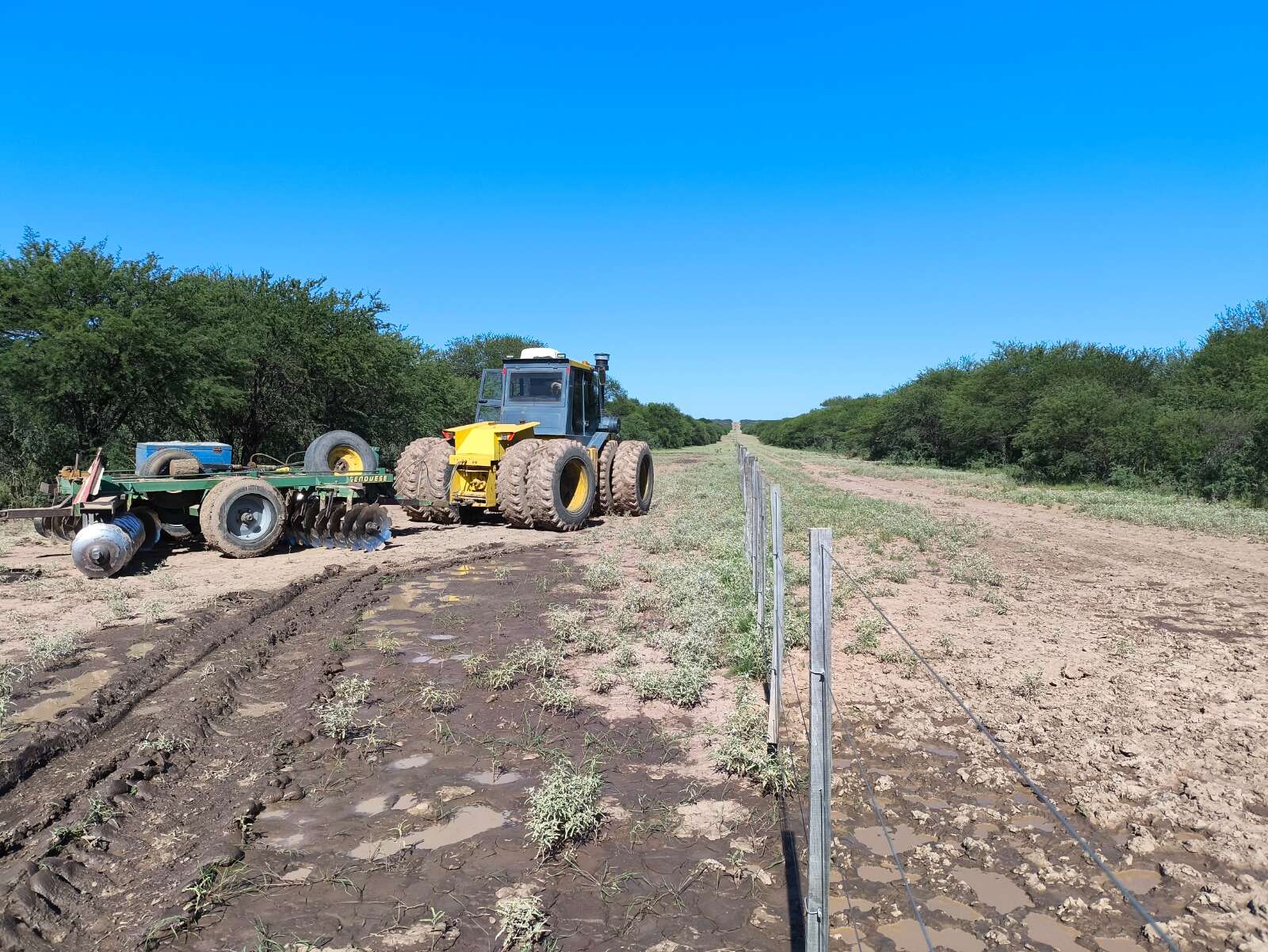 Impulsan trabajos para mantener limpias las picadas cortafuegos