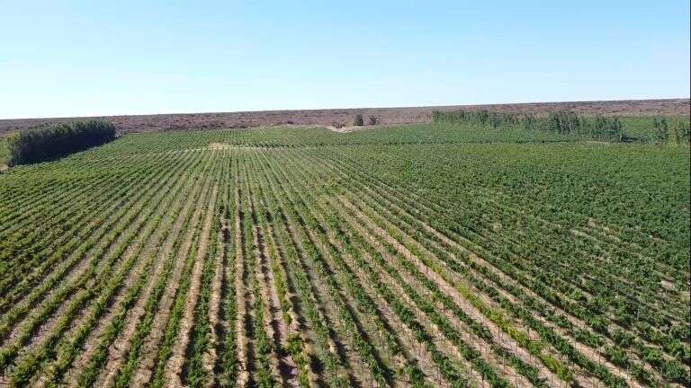 Ziliotto viajó al sur provincial y dijo que “vivimos la explosión productiva de Casa de Piedra”