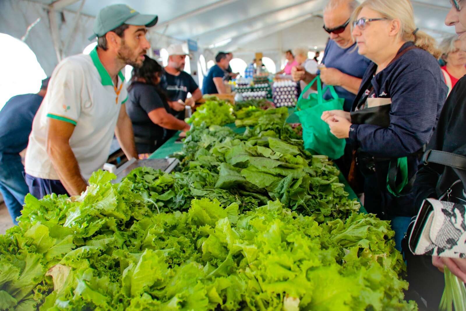 Mercado Municipal de Santa Rosa: Ofertas imperdibles en el último sábado de atención al público