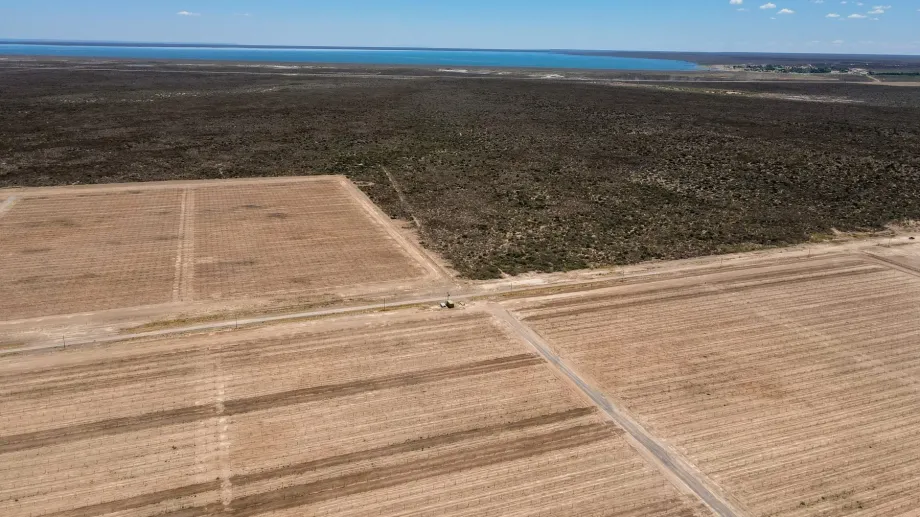 Medio periodístico rionegrino pone como ejemplo a La Pampa en la producción de pistachos en Casa de Piedra