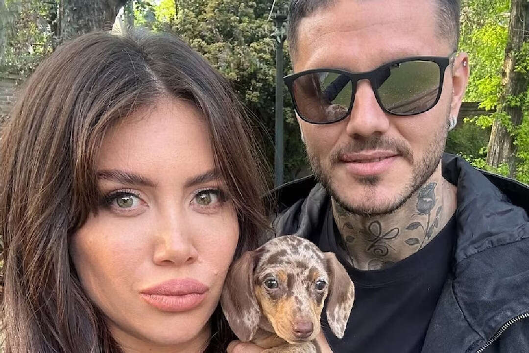 Qué fue de la vida de Cookie, la perrita salchicha de Wanda Nara y Mauro Icardi en medio de su separación