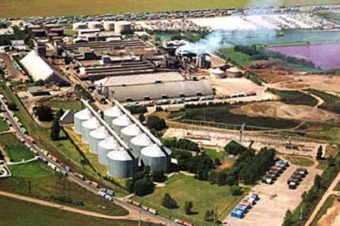 Un grupo inversor compró la deuda de Vicentin con bancos internacionales y busca definir el futuro de la empresa