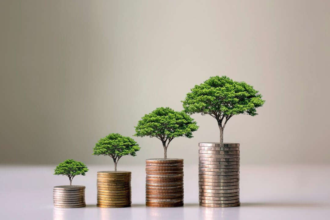 Economía verde: qué es y por qué es tan importante para el medio ambiente