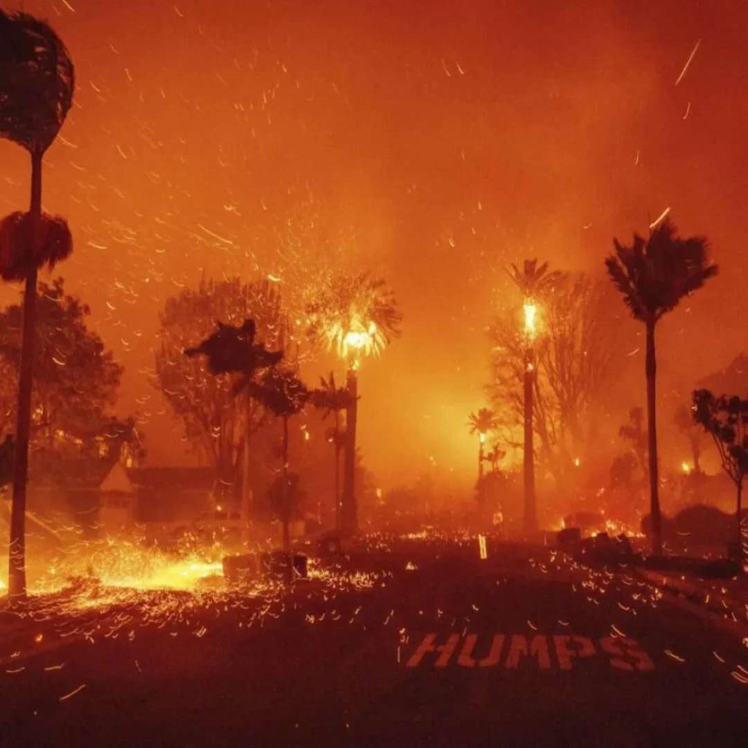 EEUU: Ya son 24 los muertos por incendios forestales en Los Ãngeles