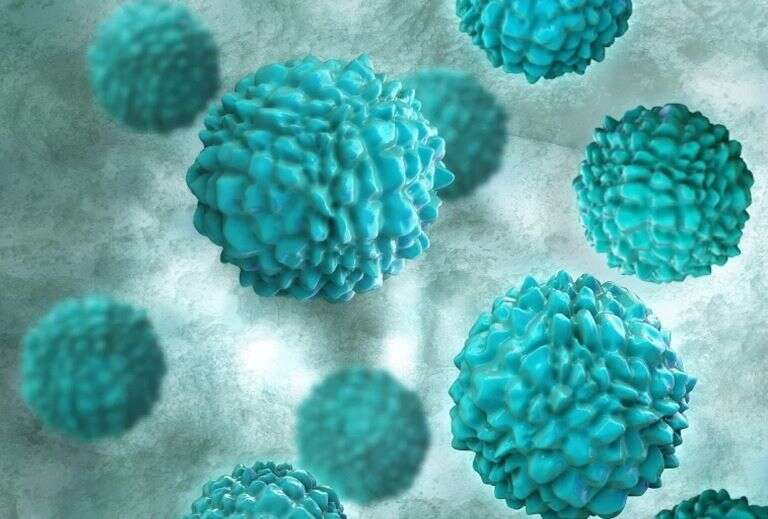 China: Unos 121 estudiantes afectados por norovirus en la provincia de Yunnan