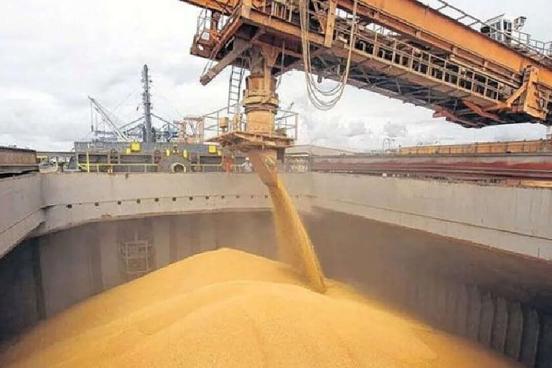 Los dueños de la soja: las empresas que lideraron el ranking de exportaciones en 2024