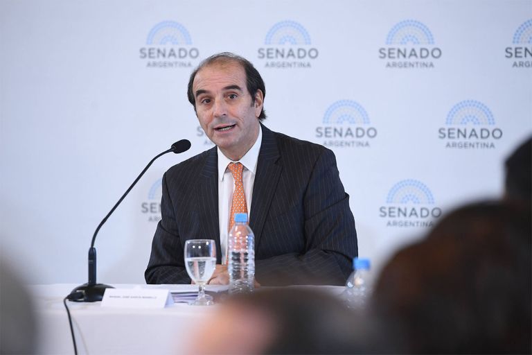 Manuel García-Mansilla había dicho en el Senado que “no hubiera aceptado ser nombrado por decreto”