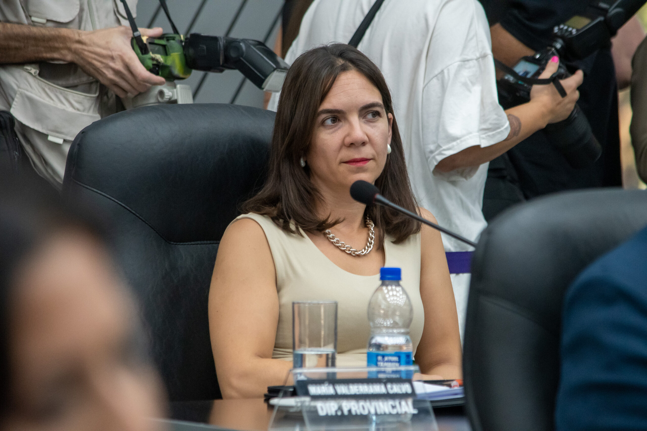 “La licitación de Medanito debe tratarse con responsabilidad y transparencia”