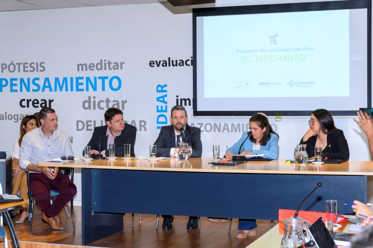 Equipos del Gobierno explicaron en la Legislatura la licitación del área “El Medanito”