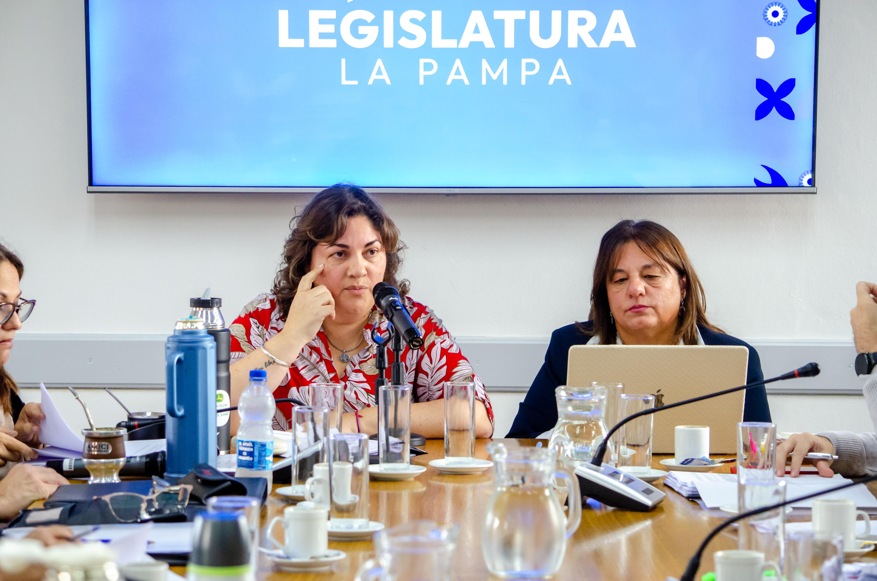 Dictamen para el cupo femenino en la construcción