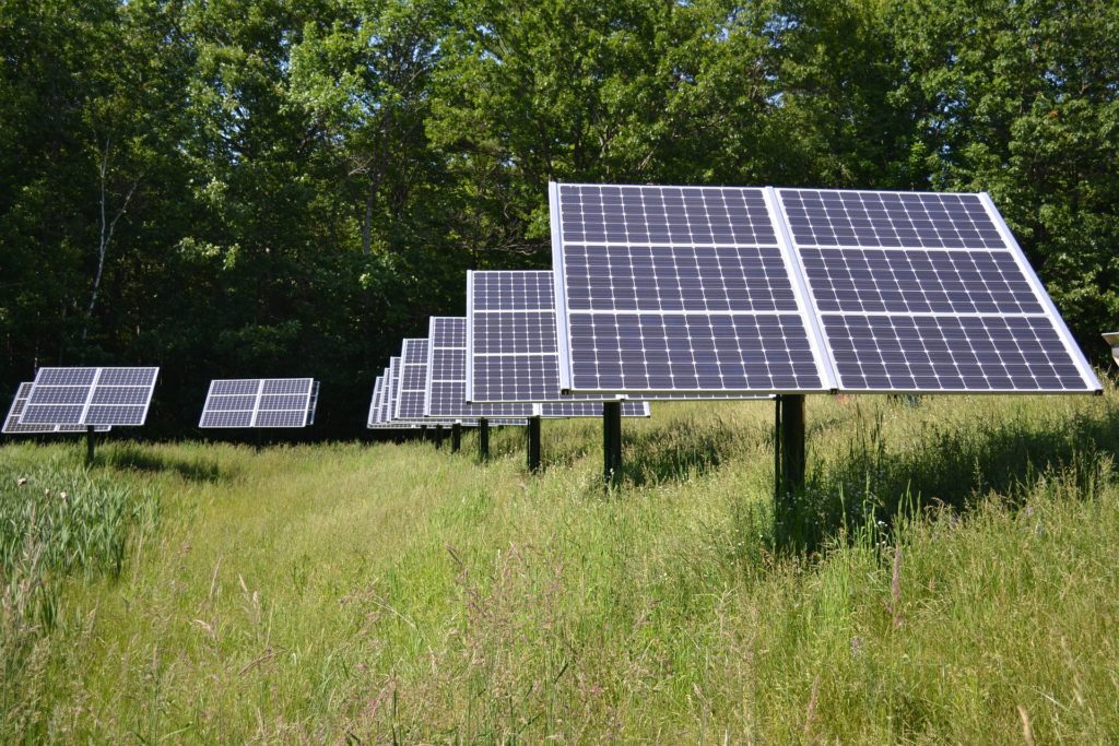 Realicó se acerca a la energía solar: avanzan los planes para un parque fotovoltaico