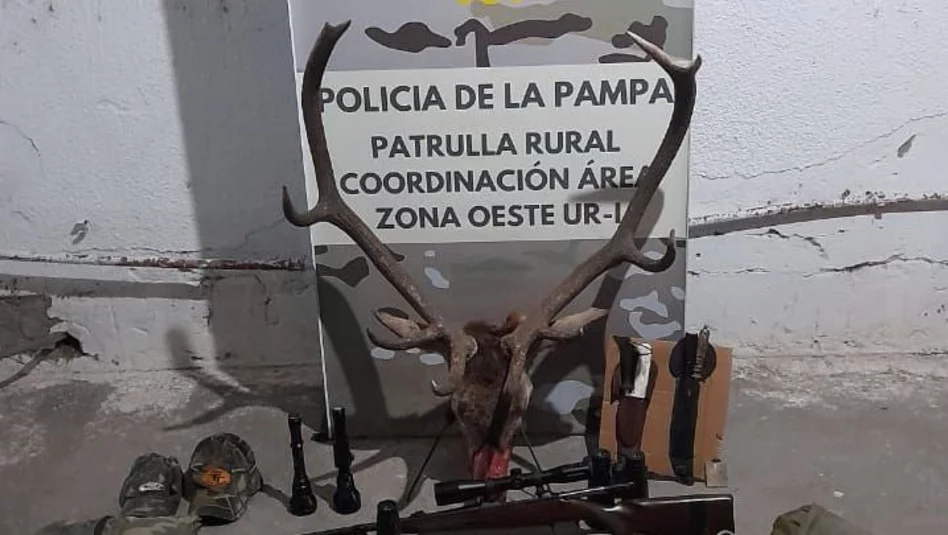 Caza furtiva en Victorica: formalizan a cinco hombres por matar un ciervo colorado