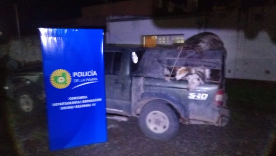 Interceptan a tres cazadores furtivos con un jabalí y jauría cerca de Bernasconi