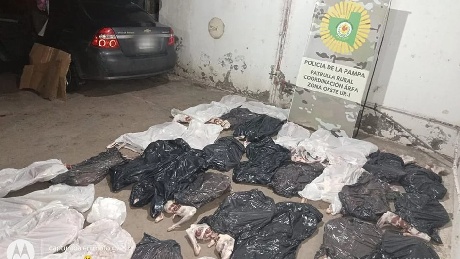 Decomisan en La Pampa más de 30 chivos faenados sin habilitación ni cadena de frío