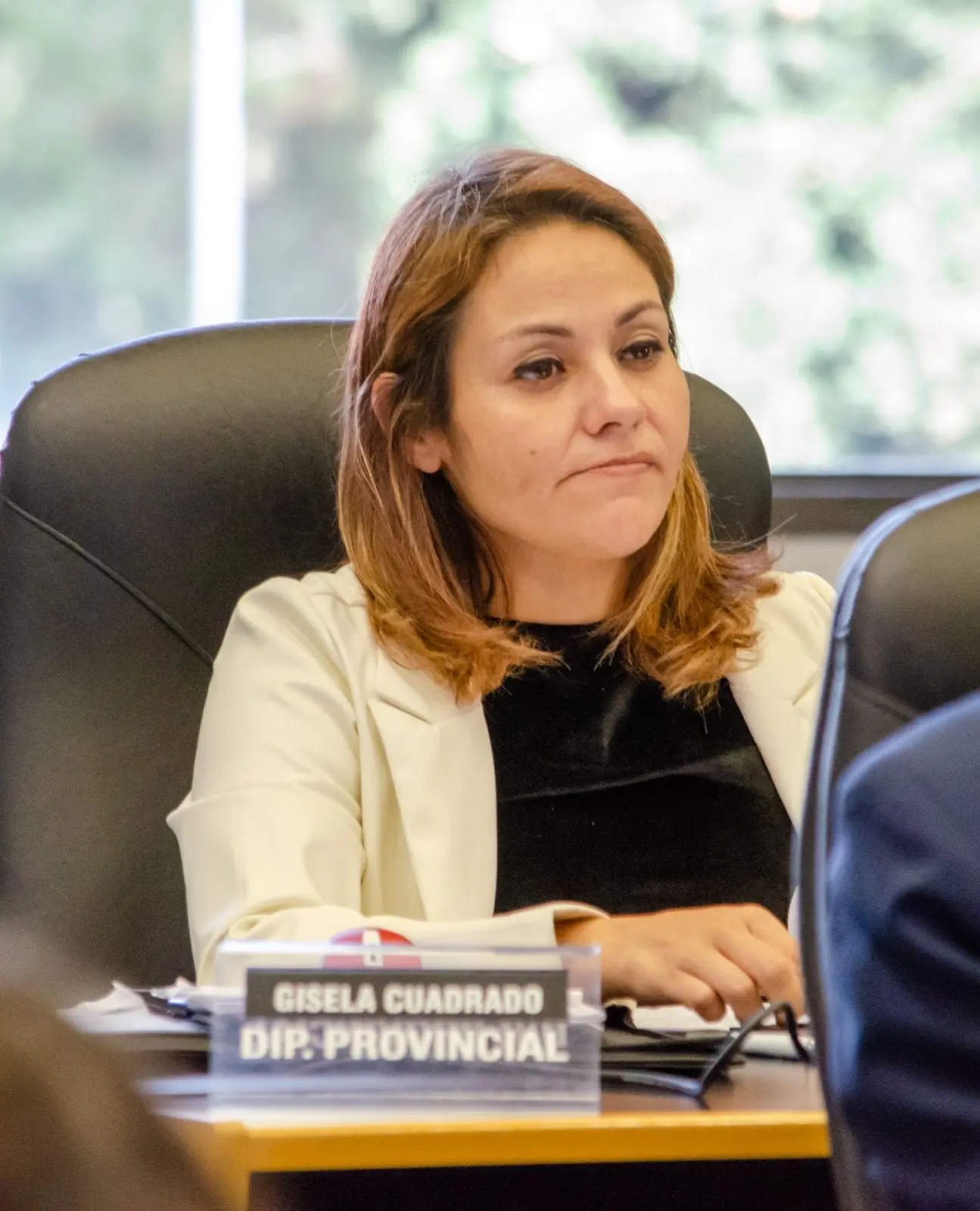 Diputada radical advirtió que la deuda de Cooperativas eléctricas con la provincia asciende a más de $ 9 mil millones
