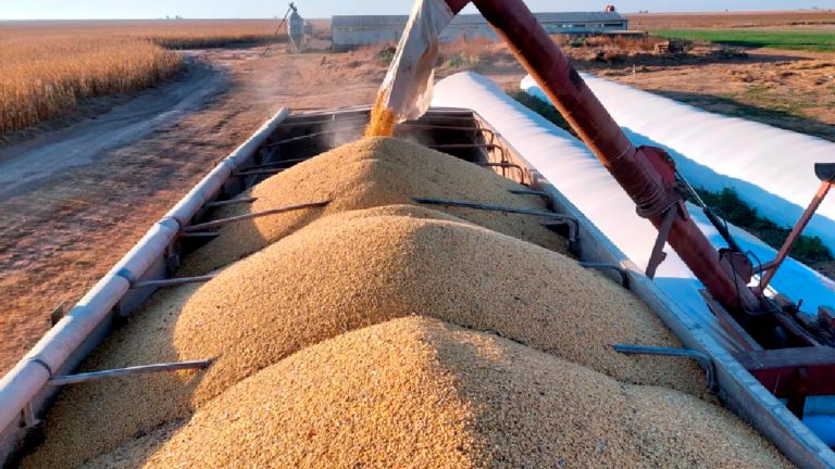 Investigan el robo de 130 mil kilos de soja en un campo de Embajador Martini