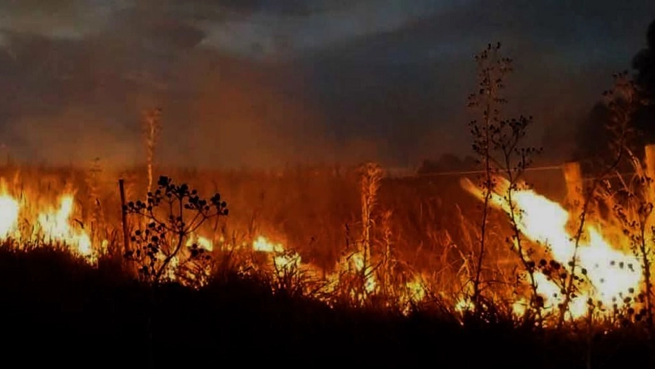 Bomberos de Riglos combatieron un incendio de pastizales cerca de Anchorena