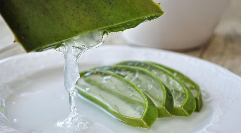Pocos lo saben: cuándo el aloe vera puede ser peligroso