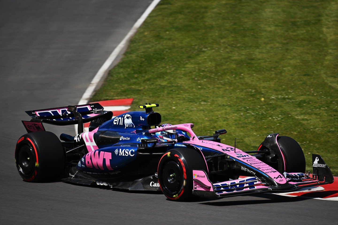 Automovilismo: Franco Colapinto no pasó a Q2 y largará 17º en el GP de Bélgica