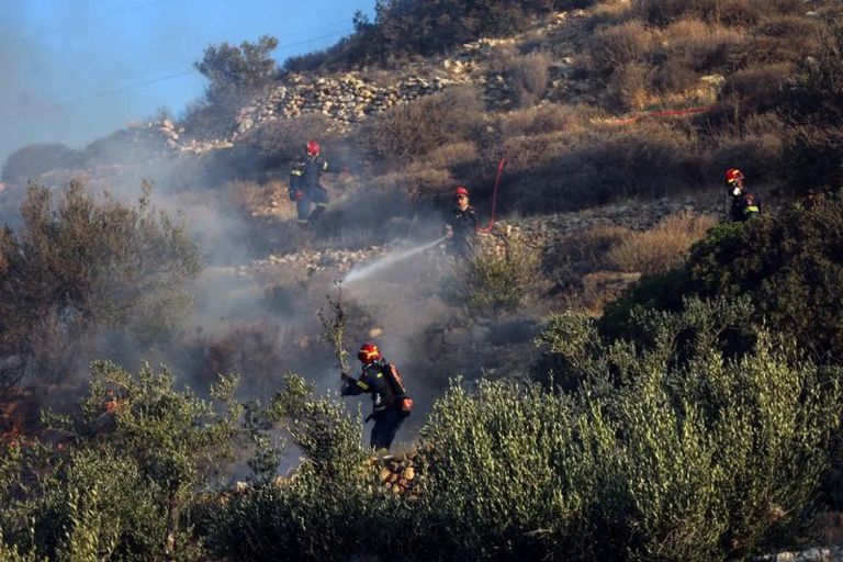 Bolivia: el Gobierno declaró “Situación de Emergencia Nacional” por incendios
