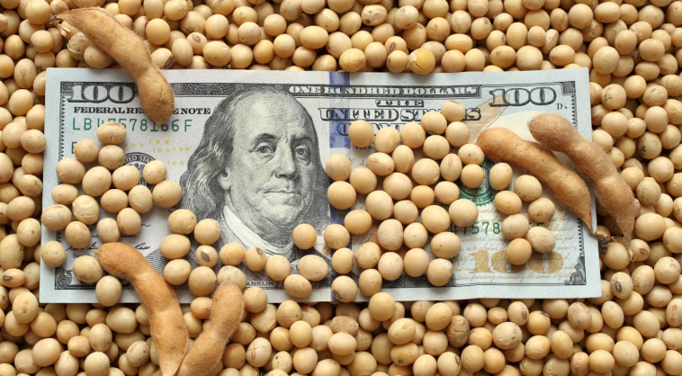 Presionada por la baja del dólar, la soja perdió $15.000 por tonelada en el segundo día sin retenciones