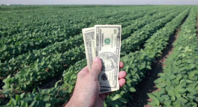 Prematuro fin de la quita de retenciones: las exportaciones del agro ya alcanzaron el cupo de u$s7.000 millones