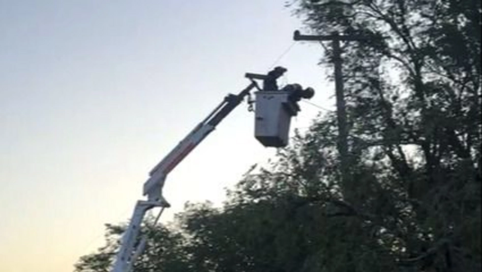 Toay: un árbol cayó sobre el tendido eléctrico y dejó sin luz a parte de la ciudad