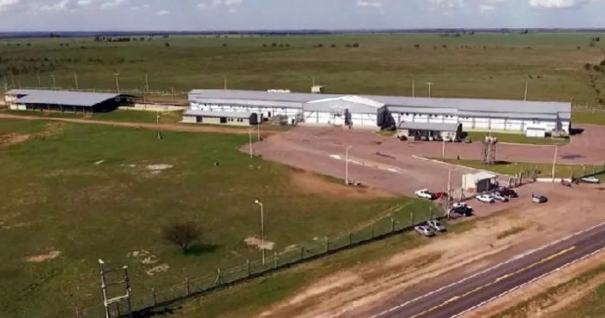 Bernasconi: habilitaron el concurso preventivo del Frigorífico HV SA