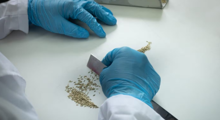 Modifican el funcionamiento de la Comisión Nacional de Semillas