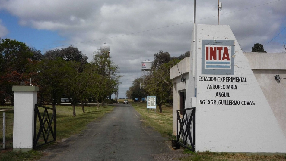 Alerta en el INTA: versiones de un desguace que pondría en riesgo miles de puestos y tierras productivas