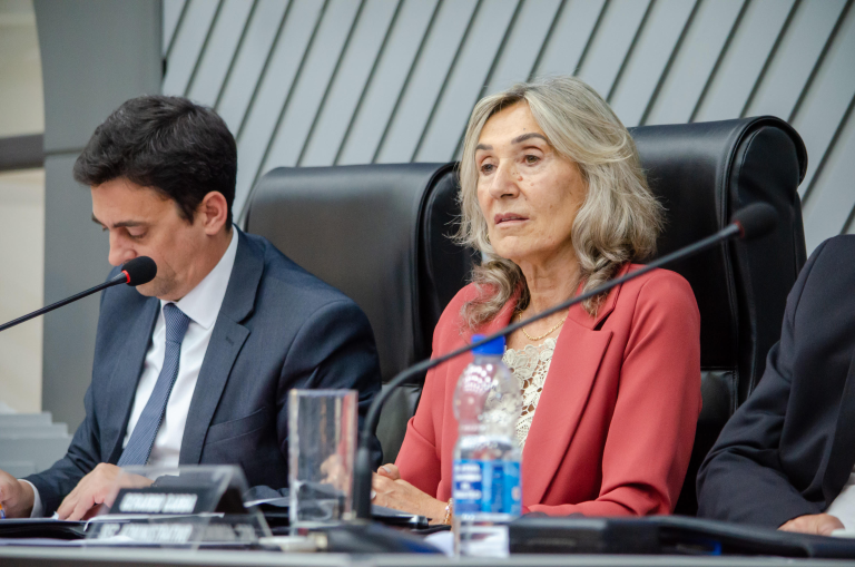 La Cámara de Diputados de La Pampa aprobó las leyes que había pedido el Ejecutivo