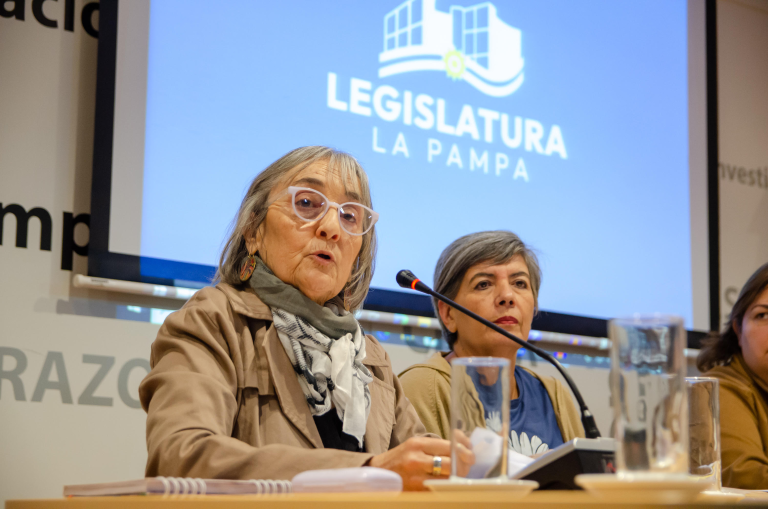 Utelpa y CTA pasaron por Diputados y se manifestaron en contra de la adhesión a la ley de riesgo de trabajo