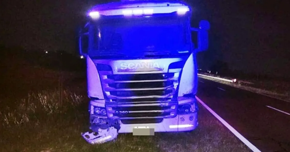 Un camión embistió animales sueltos sobre la ruta Nº35