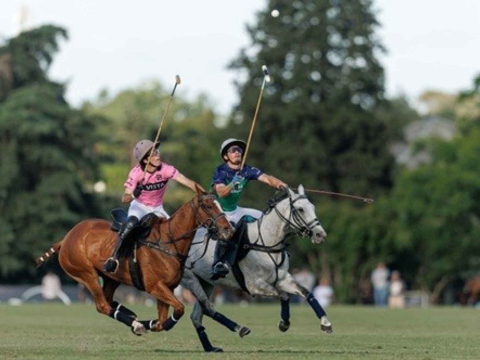 Polo: La Natividad La Dolfina y Ellerstina Indios Chapaleufú se enfrentan en la final del 132º Abierto Argentino de Polo